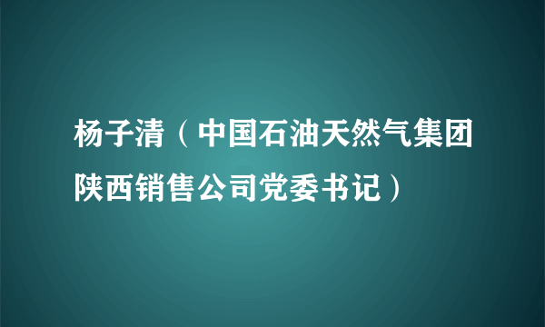 杨子清（中国石油天然气集团陕西销售公司党委书记）