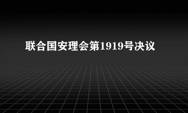 联合国安理会第1919号决议