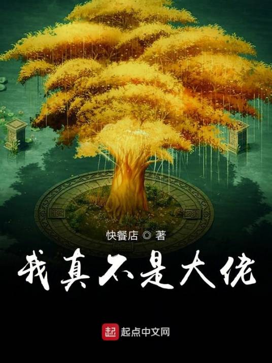 我真不是大佬（快餐店创作的玄幻类网络小说）