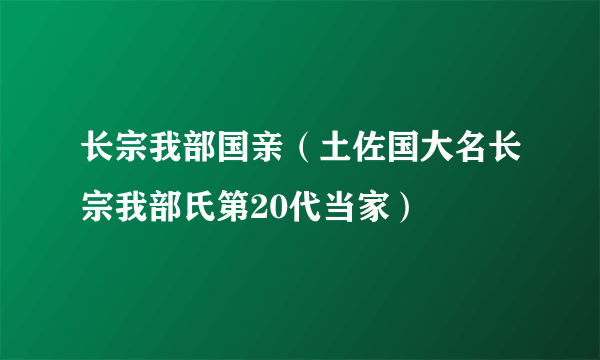 长宗我部国亲（土佐国大名长宗我部氏第20代当家）