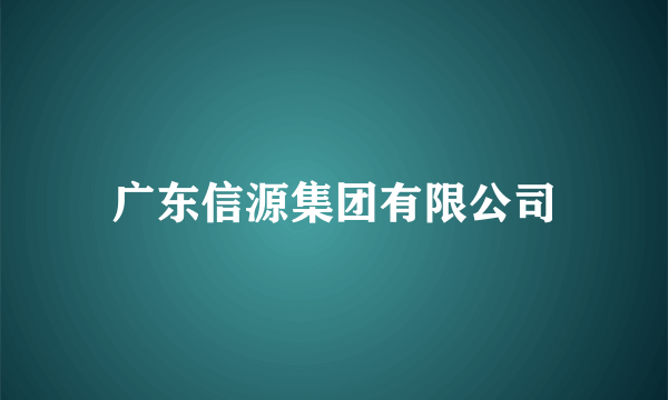 广东信源集团有限公司