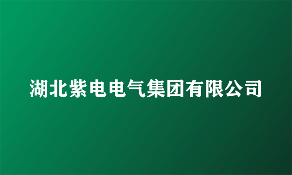 湖北紫电电气集团有限公司