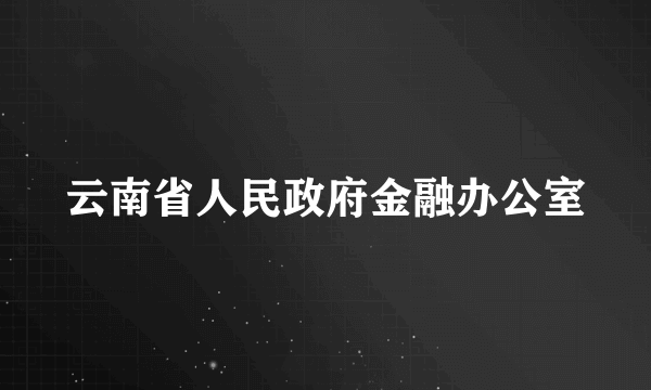 云南省人民政府金融办公室