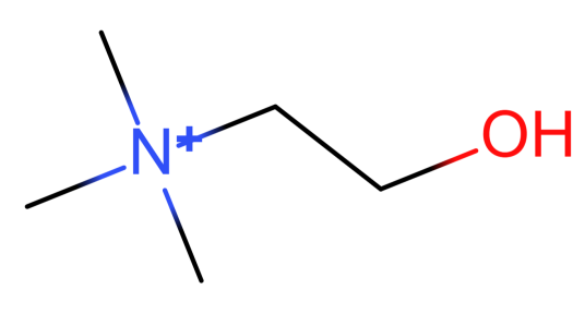 胆碱