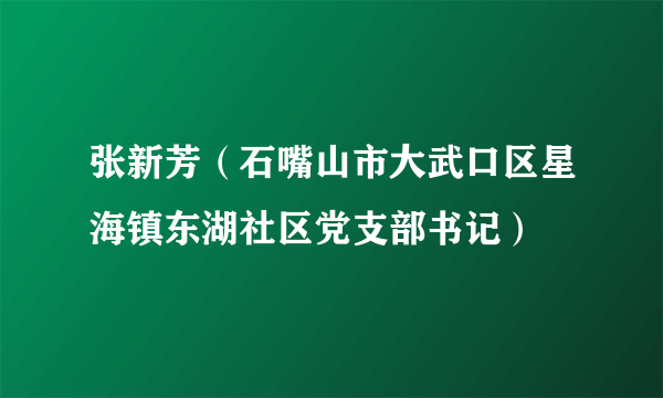 张新芳（石嘴山市大武口区星海镇东湖社区党支部书记）