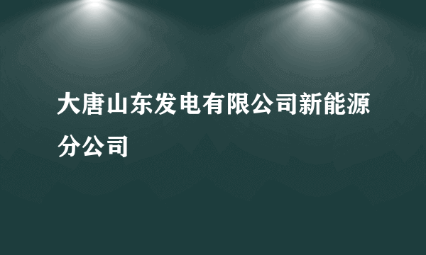 大唐山东发电有限公司新能源分公司