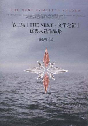 第二届“THE NEXT·文学之新”优秀入选作品集