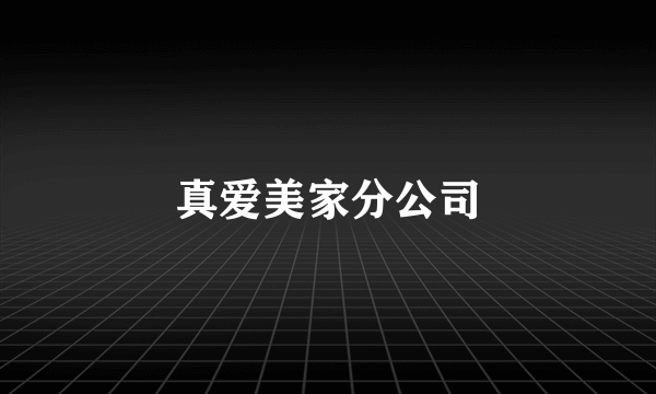 真爱美家分公司