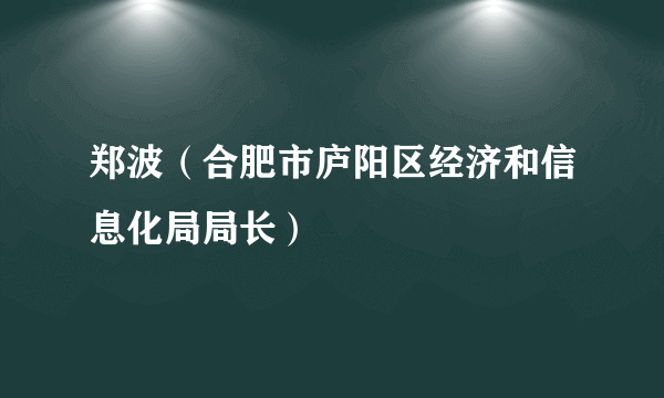 郑波（合肥市庐阳区经济和信息化局局长）