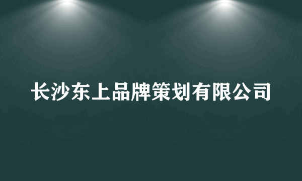 长沙东上品牌策划有限公司