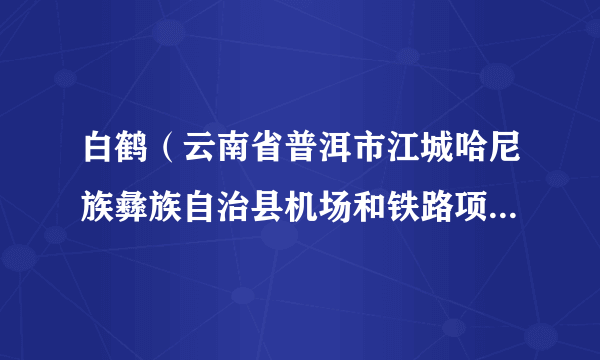 白鹤（云南省普洱市江城哈尼族彝族自治县机场和铁路项目建设工作协调领导小组办公室主任）