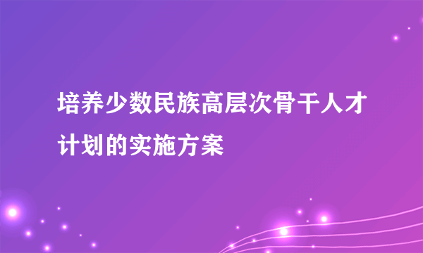 培养少数民族高层次骨干人才计划的实施方案