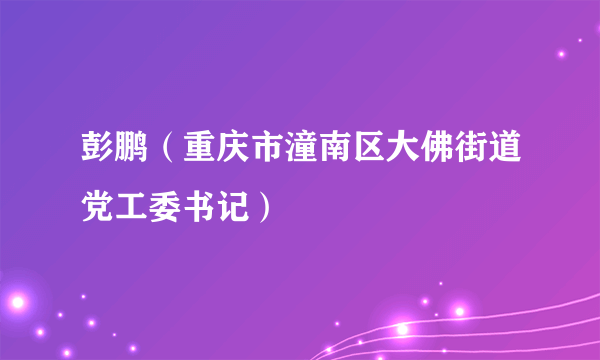 彭鹏（重庆市潼南区大佛街道党工委书记）