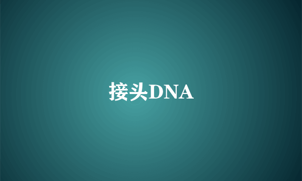 接头DNA