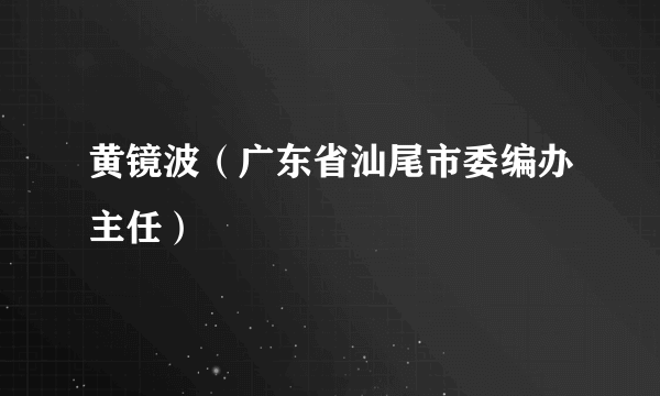 黄镜波（广东省汕尾市委编办主任）