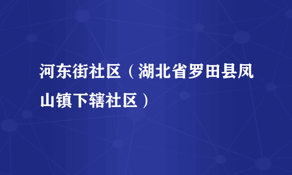 河东街社区（湖北省罗田县凤山镇下辖社区）