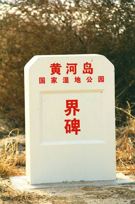 山东黄河岛国家湿地公园