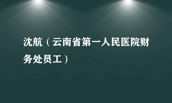 沈航（云南省第一人民医院财务处员工）