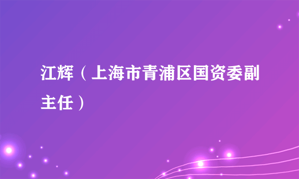 江辉（上海市青浦区国资委副主任）