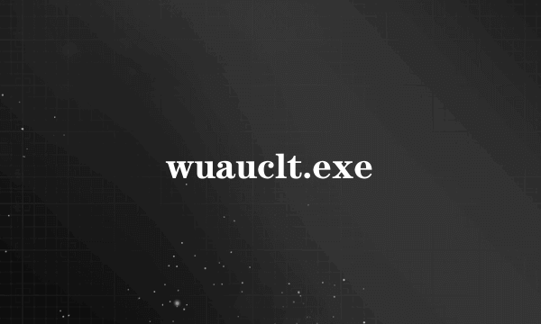 wuauclt.exe