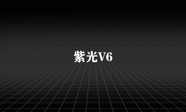 紫光V6