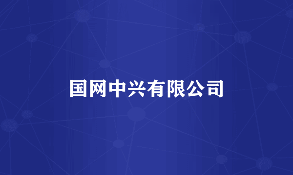 国网中兴有限公司