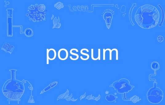 possum