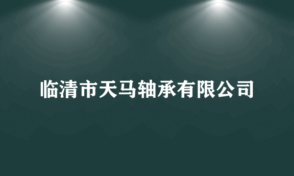 临清市天马轴承有限公司