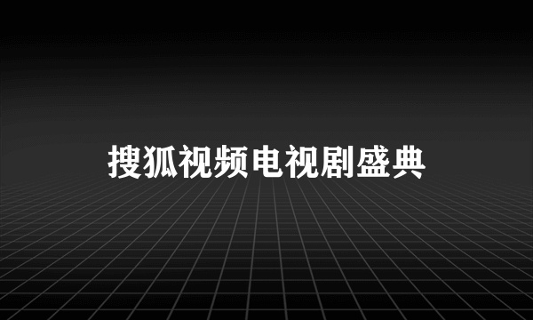 搜狐视频电视剧盛典