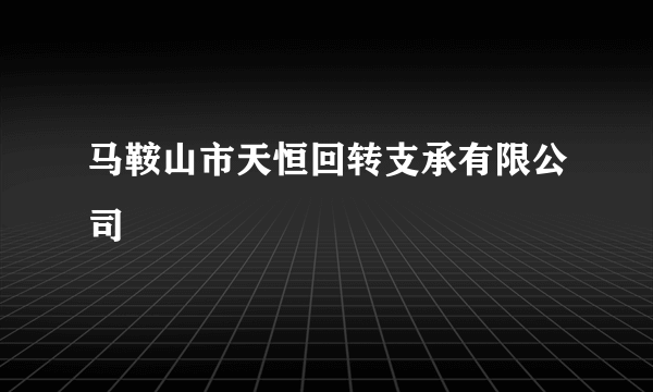 马鞍山市天恒回转支承有限公司