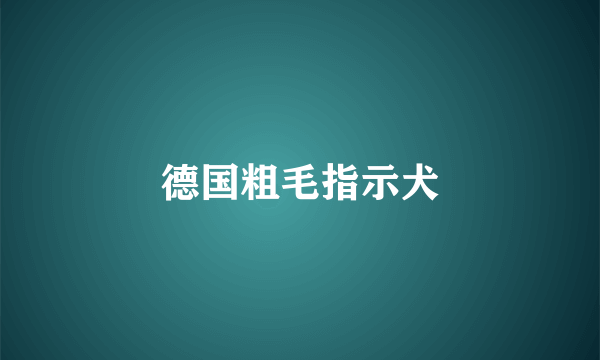 德国粗毛指示犬