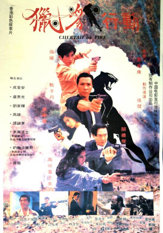 猎豹行动（1992年叶成康执导的动作电影）