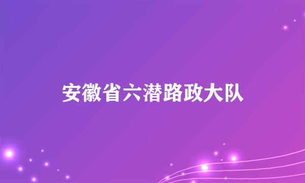 安徽省六潜路政大队