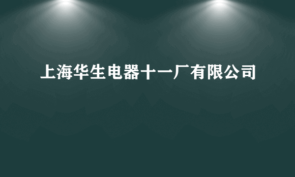 上海华生电器十一厂有限公司