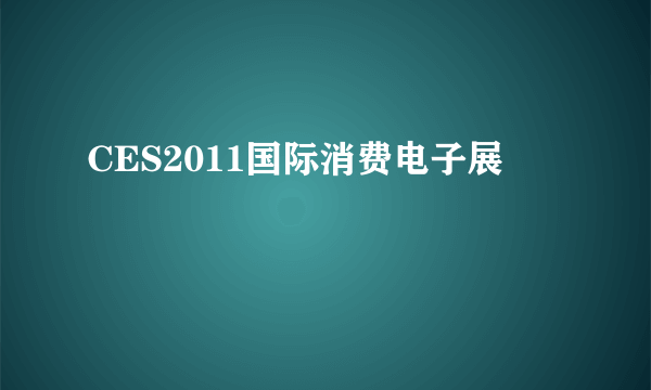 CES2011国际消费电子展