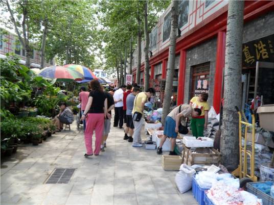 北京花鸟鱼虫市场