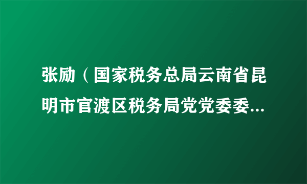 张励（国家税务总局云南省昆明市官渡区税务局党党委委员、副局长）