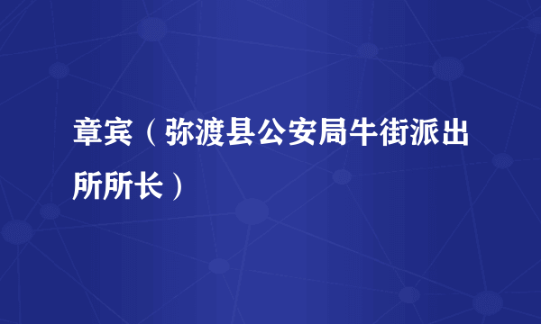 章宾（弥渡县公安局牛街派出所所长）