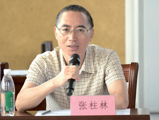 张柱林（广西民族大学文学院教授）