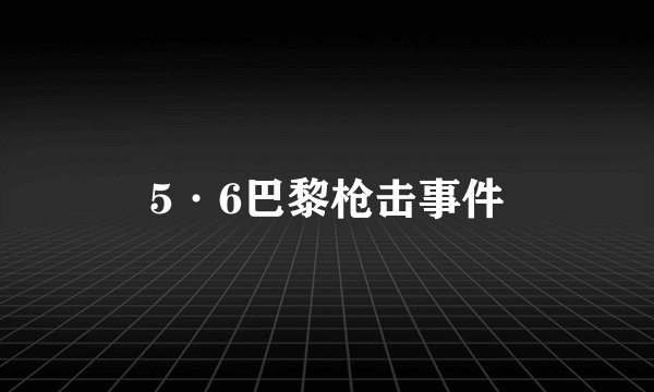 5·6巴黎枪击事件