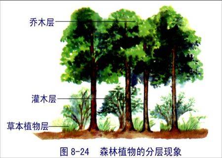 垂直结构