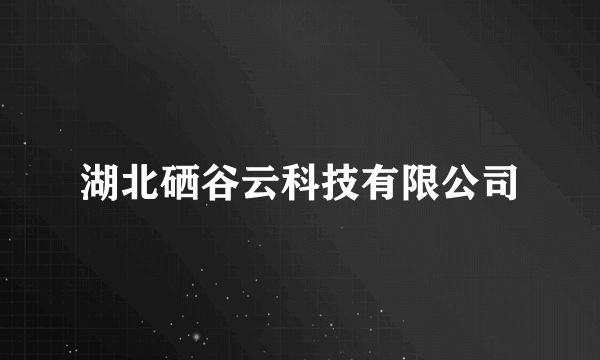 湖北硒谷云科技有限公司