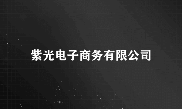 紫光电子商务有限公司