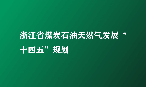 浙江省煤炭石油天然气发展“十四五”规划