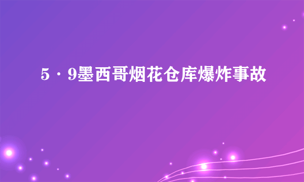 5·9墨西哥烟花仓库爆炸事故