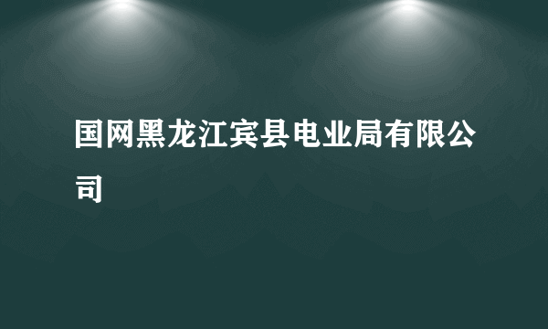 国网黑龙江宾县电业局有限公司