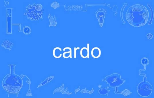 cardo（英语单词）