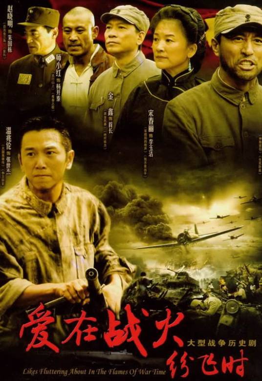 爱在战火纷飞时（2006年董亚春执导的战争类电视剧）