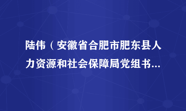 陆伟（安徽省合肥市肥东县人力资源和社会保障局党组书记、局长）