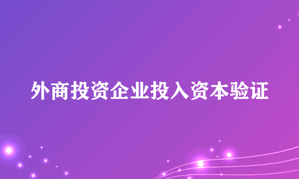 外商投资企业投入资本验证